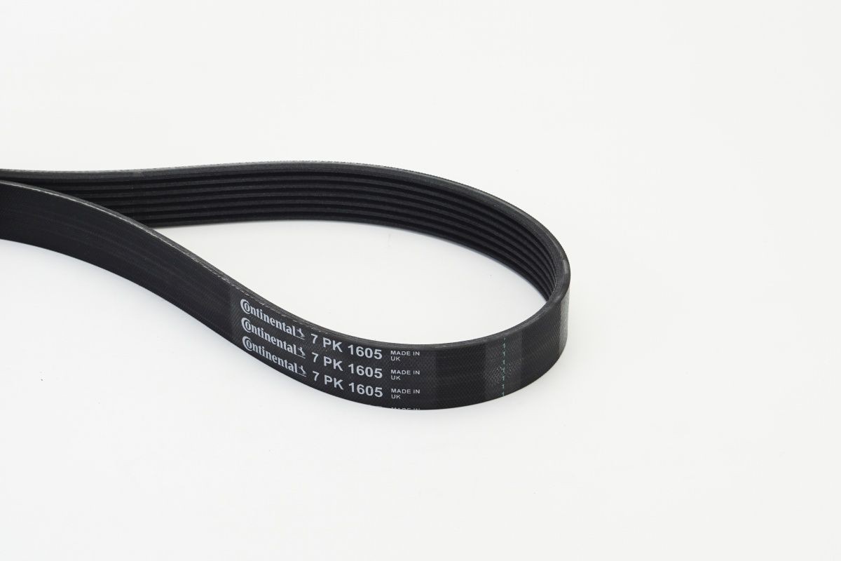 CONTITECH Kilerem 7PK1605 CONTITECH 7PK1605 BMW E32 Ribrem til en rimelig pris