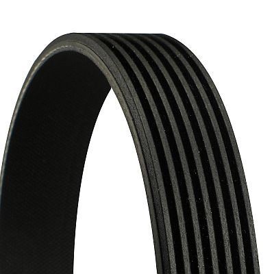CONTITECH Correia trapezoidal estriada 7PK1635 CONTITECH 7PK1635 Correia trapezoidal estriada
