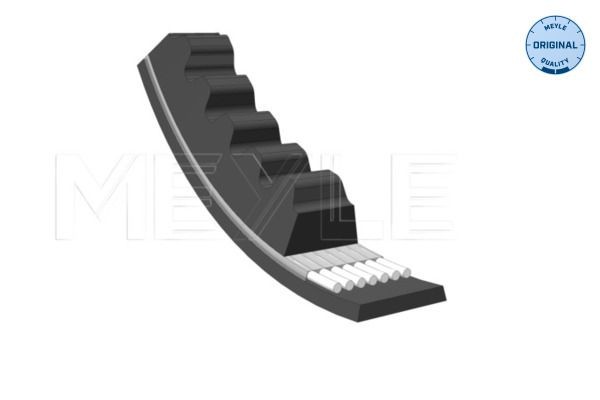 Correia trapezoidal MEYLE 052 010 0800 MEYLE 052 010 0800: Correia trapezoidal Fiat PANDA 2017