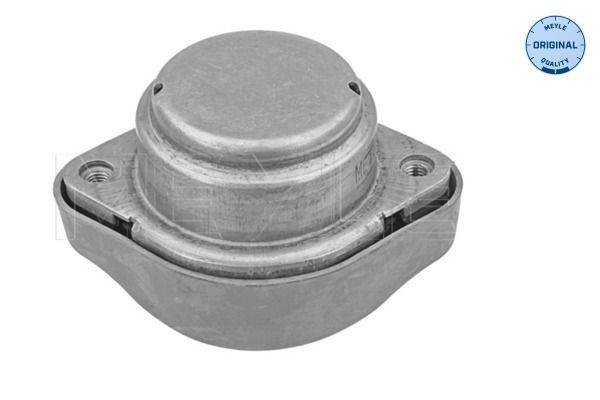 MEYLE Lagerung, Automatikgetriebe 100 130 0011 Getriebehalter MEYLE RAV 4 100 130 0011 günstig