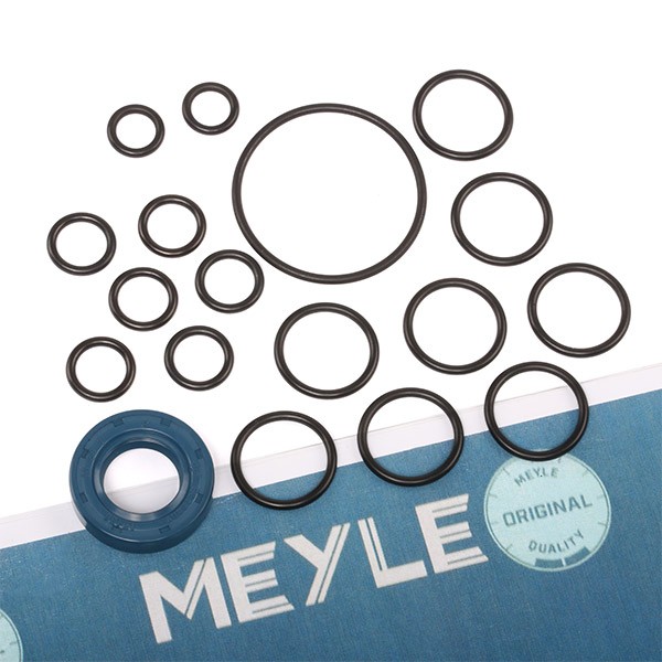 MEYLE Kit guarnizioni, Pompa idraulica 100 198 0002 100 198 0002 Kit guarnizioni, pompa idraulica MEYLE Volkswagen MAGGIOLINO costo