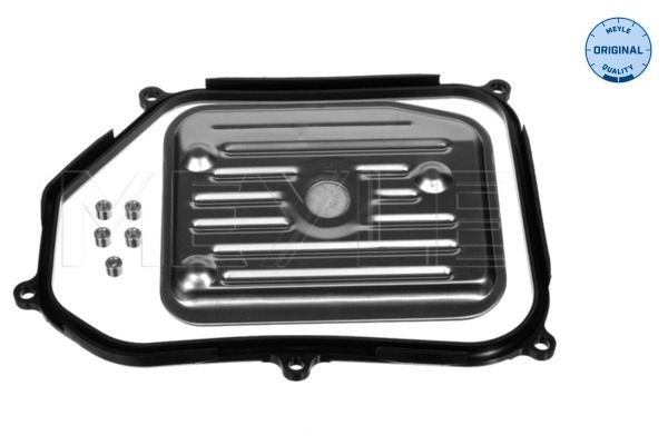 MEYLE Kit filtro idraulico, Cambio automatico 100 398 0011 100 398 0011 Filtro cambio automatico MEYLE Volkswagen TAIGO costo