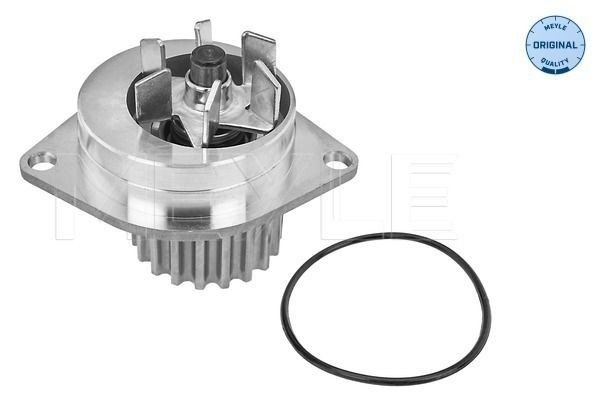 MEYLE Pompe à eau 11-13 012 0102 11-13 012 0102 Pompe à eau PEUGEOT 307 MEYLE