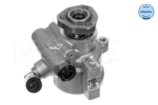 MEYLE Pompa idraulica, sterzo 114 631 0013 114 631 0013 Pompa idroguida MEYLE Volkswagen POLO costo