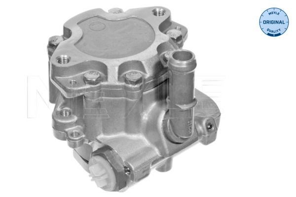 MEYLE Servo čerpadlo 114 631 0016 MEYLE 114 631 0016 Servo čerpadlo SKODA Fabia III Hatchback (NJ3) 1.0 75 KS 2021