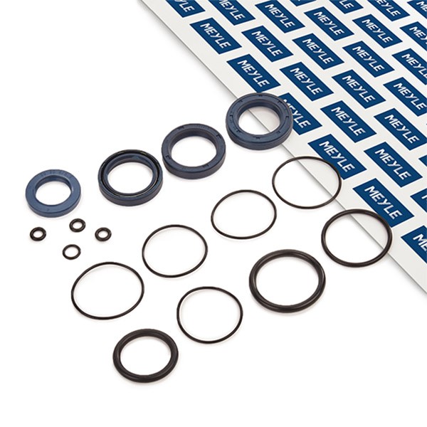 MEYLE Kit guarnizioni, Scatola guida 300 321 3100 MEYLE 300 321 3100 Kit riparazione, scatola comando sterzo BMW E82 originale prezzo
