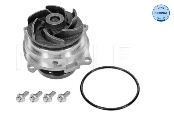 Pompa acqua MEYLE 713 220 0002 MWP0494 MEYLE 713 220 0002 Pompa dell'acqua Ford ESCORT 2002