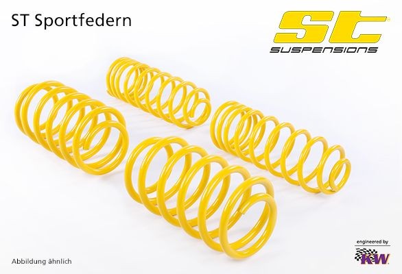 STsuspensions Chassissæt, fjedre 28210527 STsuspensions 28210527 Audi A4 B8 8K2 Sportsundervogn pris
