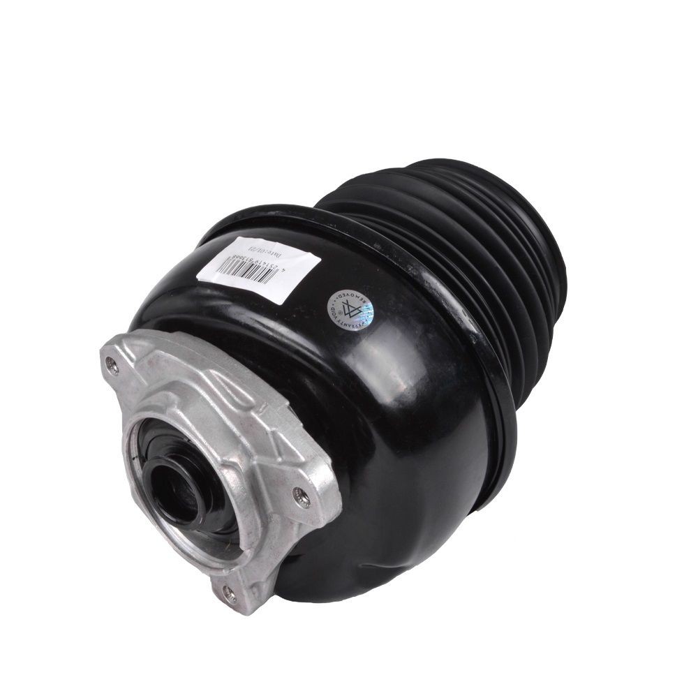 MiesslerAutomotive Luftfeder, Fahrwerk 11013-01-3138 Luftfeder, Fahrwerk MiesslerAutomotive 11013-01-3138 Fahrwerk W212 Kosten