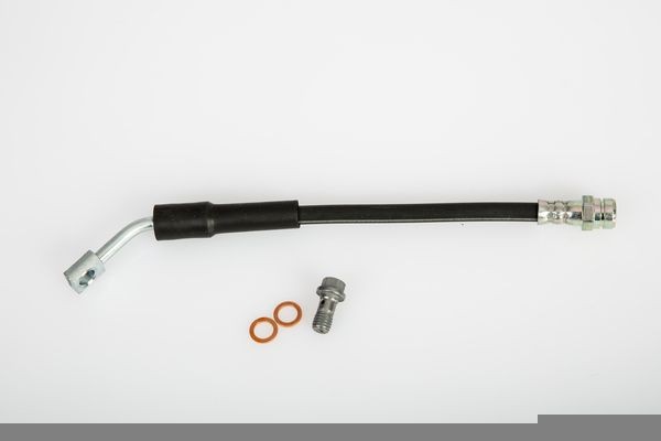 Bremžu šļūtene HELLA 8AH 355 469-351 HELLA 8AH 355 469-351: Bremžu šļūtenes Volkswagen JETTA 2019