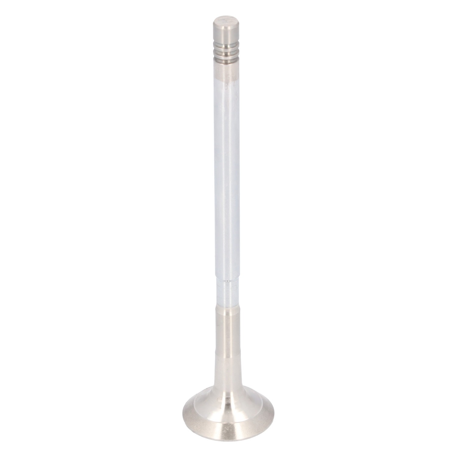 FEBI BILSTEIN Exhaust valve 186237 FEBI BILSTEIN 186237 VAUXHALL Astra Mk6 (J) Estate (P10) engine exhaust valve replacement