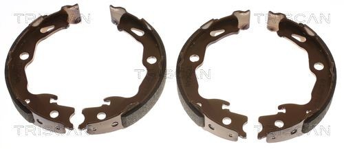 TRISCAN Bremseskosett, håndbrems 8100 25009 Håndbrekksko TRISCAN Jaguar XF 8100 25009