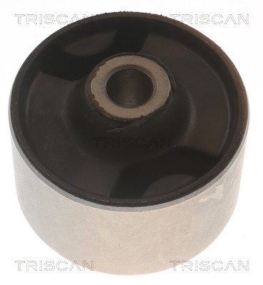 TRISCAN Suspension, bras de liaison 8500 24894 8500 24894 Silent bloc de bras de suspension CHEVROLET ASTRO TRISCAN