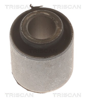 TRISCAN Suspensão, braço oscilante 8500 43869 Bucha da bandeja TRISCAN Hyundai MATRIX 8500 43869