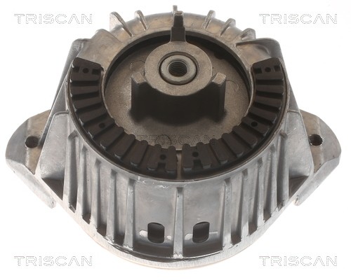 TRISCAN Motorkudde 8505 23107 8505 23107 TRISCAN motorupphängning MERCEDES-BENZ B-klass
