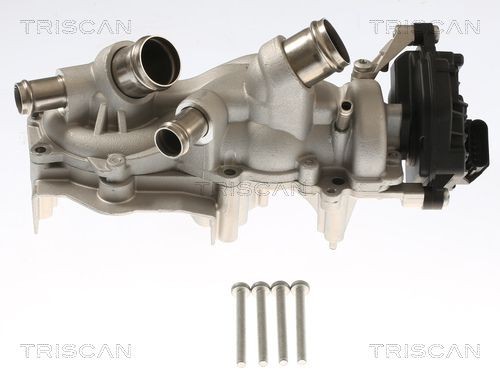 TRISCAN Pompa acqua 8600 29101 8600 29101 costo Pompa acqua TRISCAN Volkswagen TOUAREG
