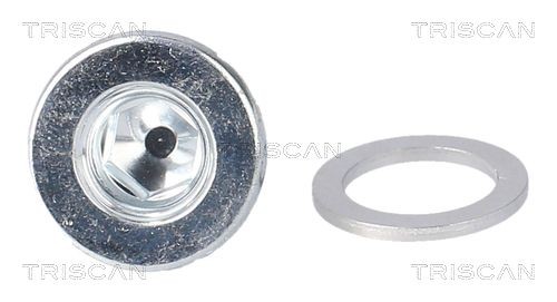 TRISCAN Vite di chiusura, vaschetta dell'olio 9500 5001 9500 5001 Tappo coppa olio RENAULT MODUS TRISCAN costo