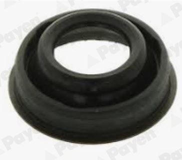 PAYEN Tesnenie veka hlavy valcov JM7221 JM7221 Tesnenie veka ventilov PORSCHE 911 PAYEN