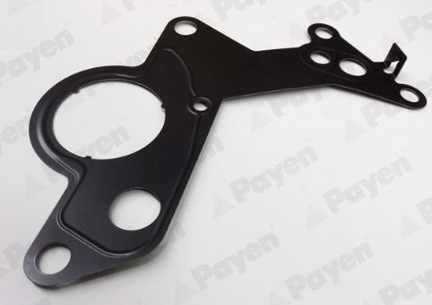 PAYEN Gasket, fuel pump KK5746 PAYEN KK5746 Ford Mondeo bwy gasket, fuel pump replacement