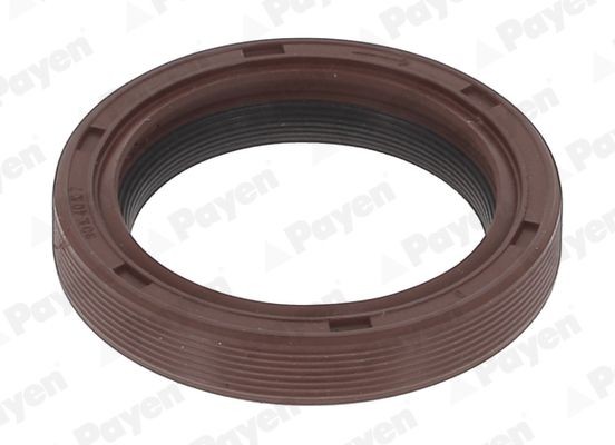 PAYEN Retentor, cambota NA5499 NA5499 PAYEN Retentor de cambota Seat baratos