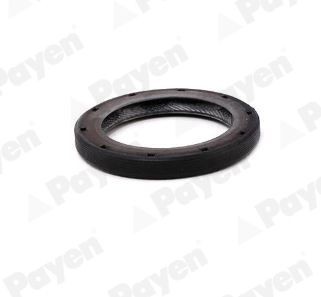 PAYEN Wellendichtring, Differential NA5507 NA5507 PAYEN Wellendichtring, Differential Peugeot 207 WA Kosten
