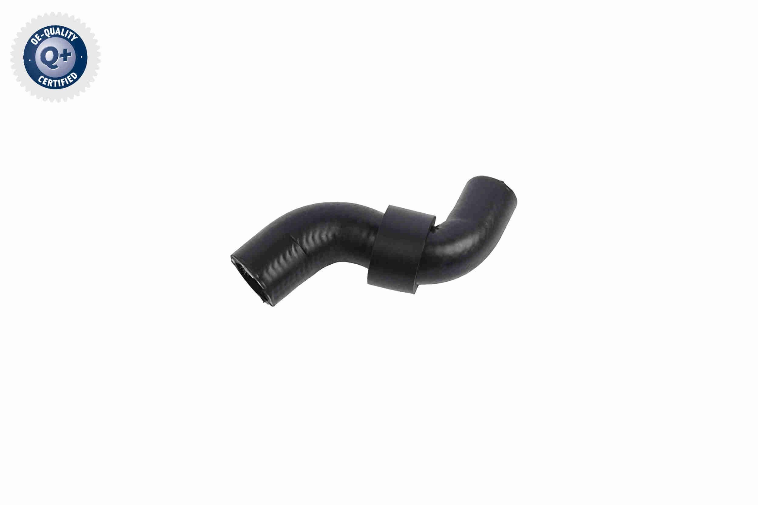 Jahutusvoolik VAICO V10-8871 VAICO V10-8871: Jahutusvoolik Seat IBIZA 2021