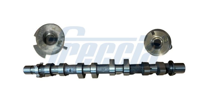 FRECCIA Nokka-akseli CM05-2419 Sandero III (BJI) nokka-akseli FRECCIA CM05-2419