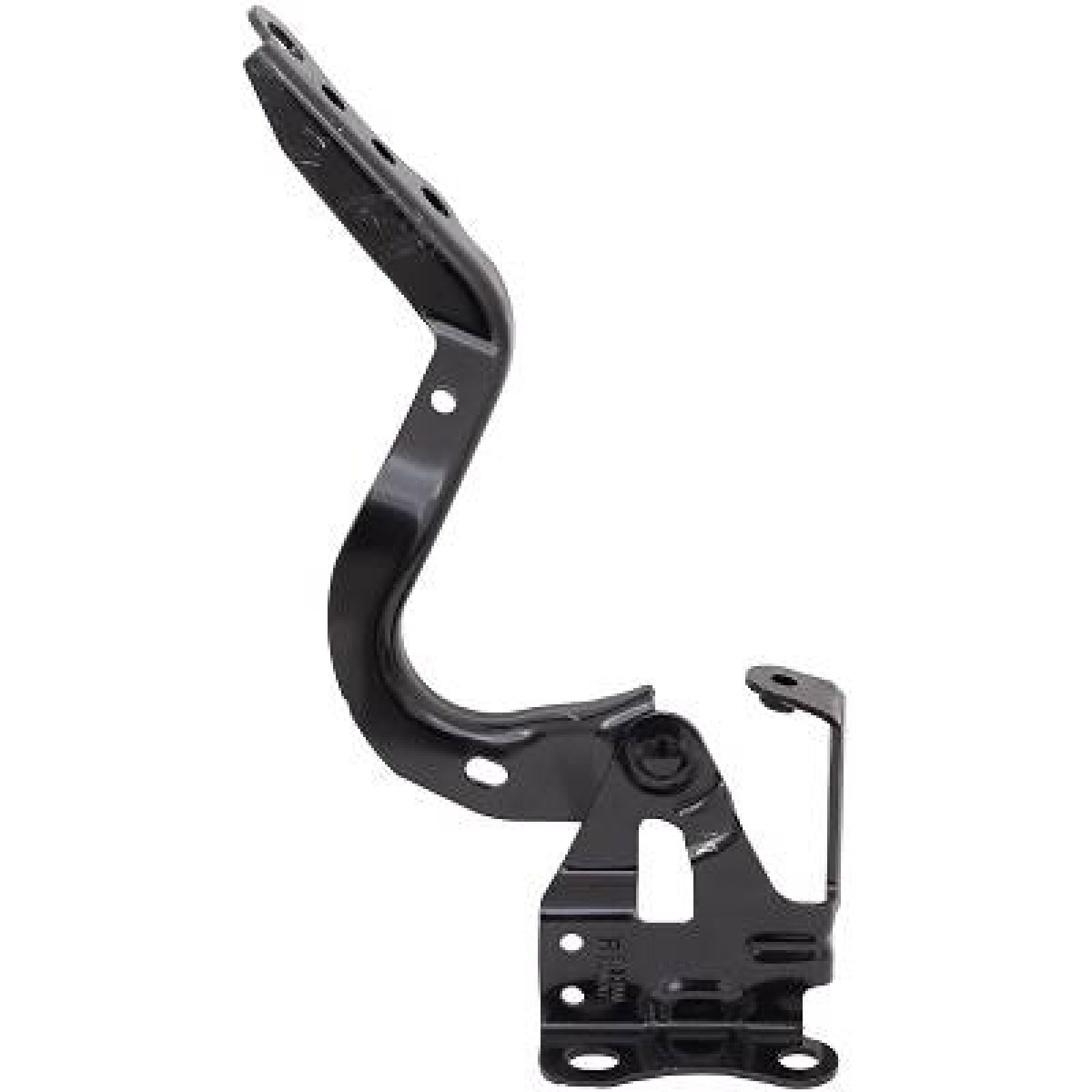 DIEDERICHS Hengsel, motorpanser 6637019 Motorpanser DIEDERICHS Toyota STARLET 6637019