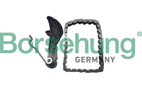 Borsehung Kamkedjesats B10251 Byta Kamkedja SKODA Octavia IV Sedan (NX3) kostnad Borsehung B10251