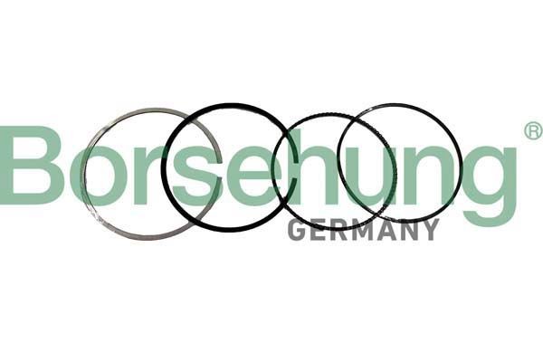 Borsehung Σετ δακτυλίων εμβόλου B10371 Borsehung B10371 Σετ δακτυλίων εμβόλου