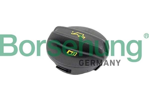 Borsehung Lukk, õlitäite ühendustoru B10670 Borsehung B10670 Õli lisamise kork VOLKSWAGEN CRAFTER hind
