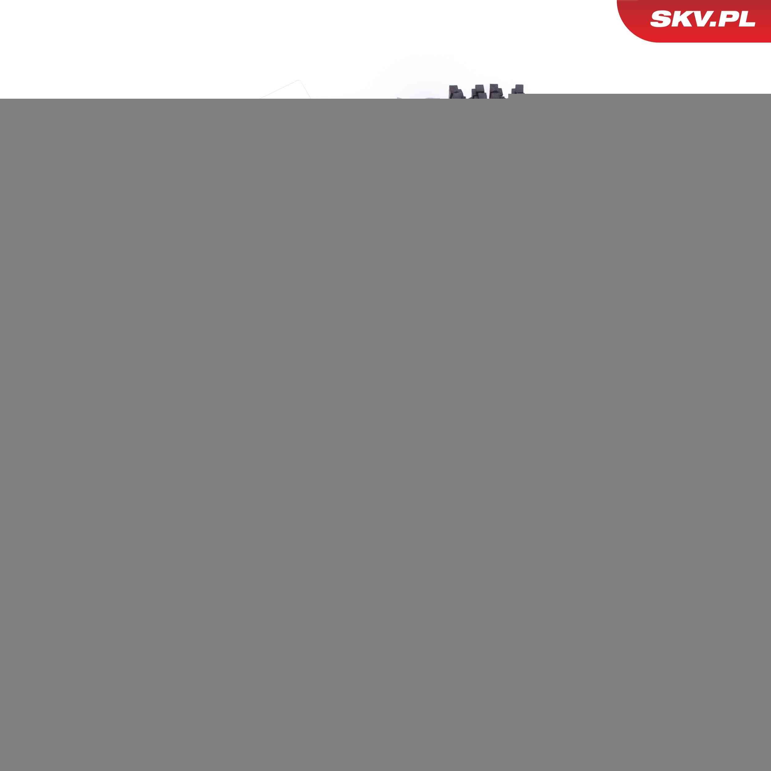 ESEN SKV Stuurbekrachtiging slang 10SKV973 Stuurbekrachtiging slang ESEN SKV PORSCHE 10SKV973
