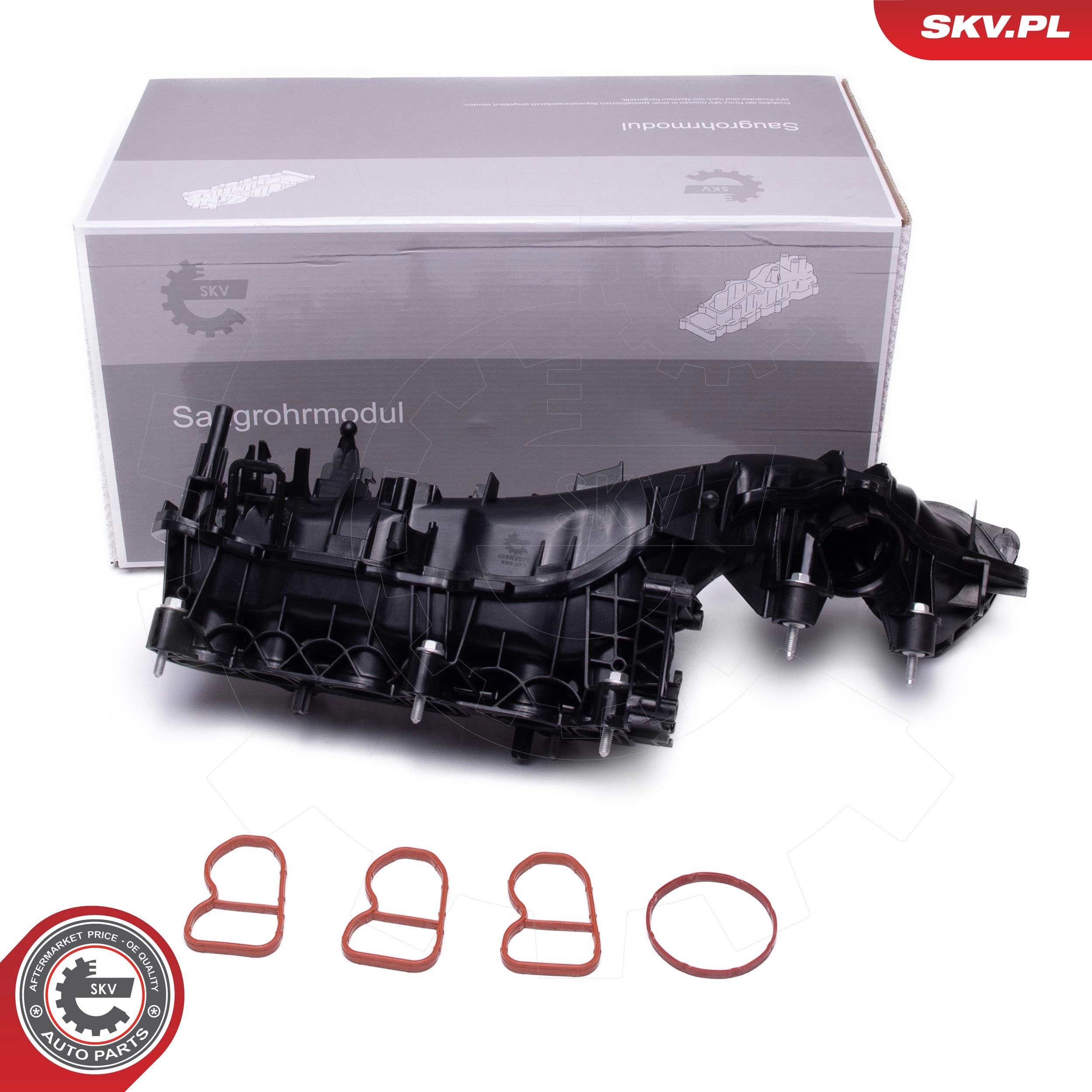 ESEN SKV Módulo do colector de admissão 49SKV079 ESEN SKV 49SKV079 Tubo do coletor de admissão BMW F21 originais preço