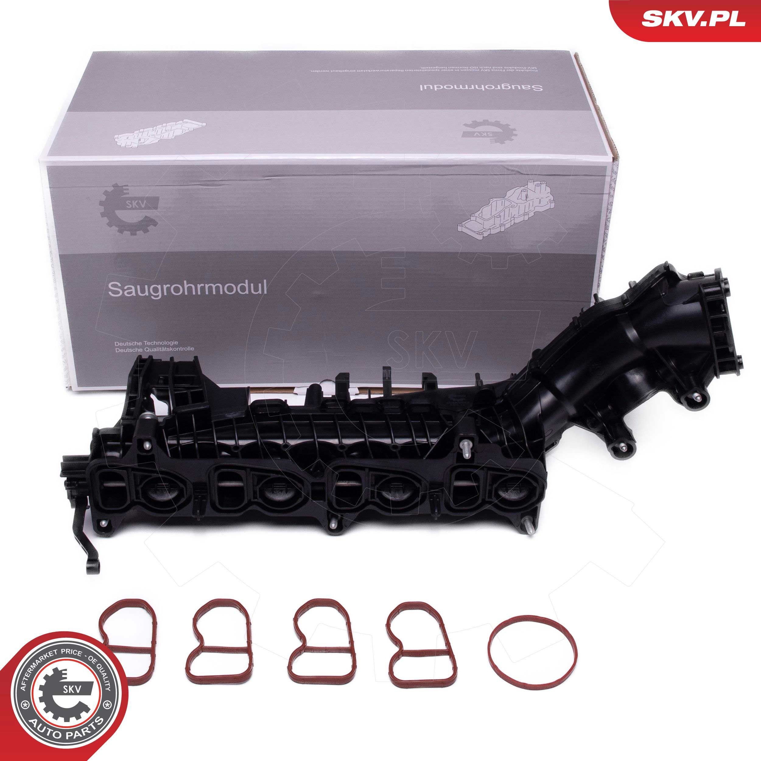 ESEN SKV Collecteur d'admission 49SKV082 Module de tuyau d'admission ESEN SKV BMW 49SKV082