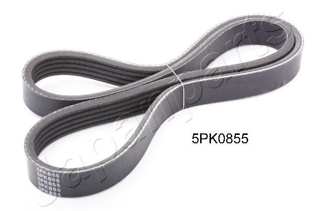 JAPANPARTS Multiriem DV-5PK0855 JAPANPARTS Accessoireriem FIAT DV-5PK0855
