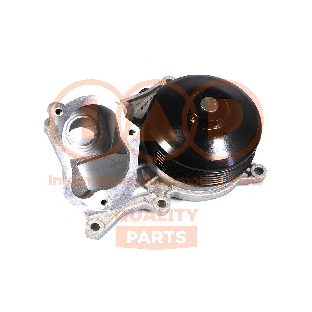 IAP QUALITY PARTS Vannpumpe 150-51030 150-51030 Vannpumpe BMW X5 IAP QUALITY PARTS