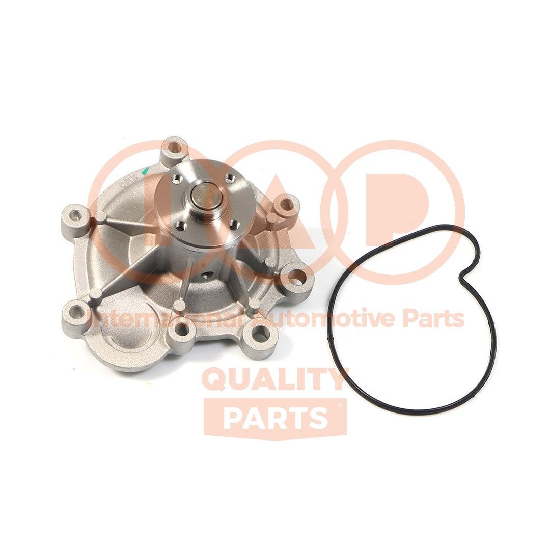 IAP QUALITY PARTS Pompe à eau 150-54024 Pompe du liquide de refroidissement IAP QUALITY PARTS Classe B 150-54024 pas cher