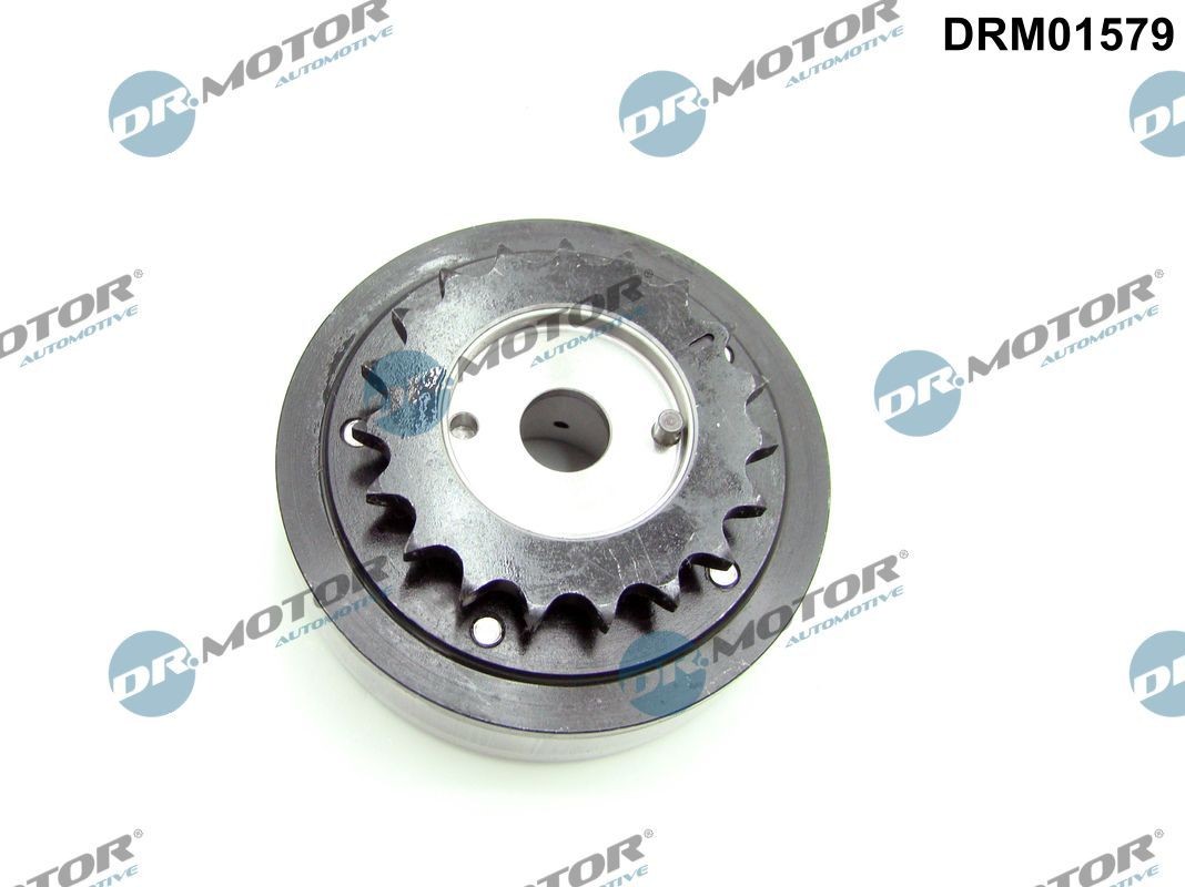 DR.MOTOR AUTOMOTIVE Déphaseur d'arbre à cames DRM01579 DR.MOTOR AUTOMOTIVE DRM01579 Roue dentée arbre à came Audi A4 B6 prix