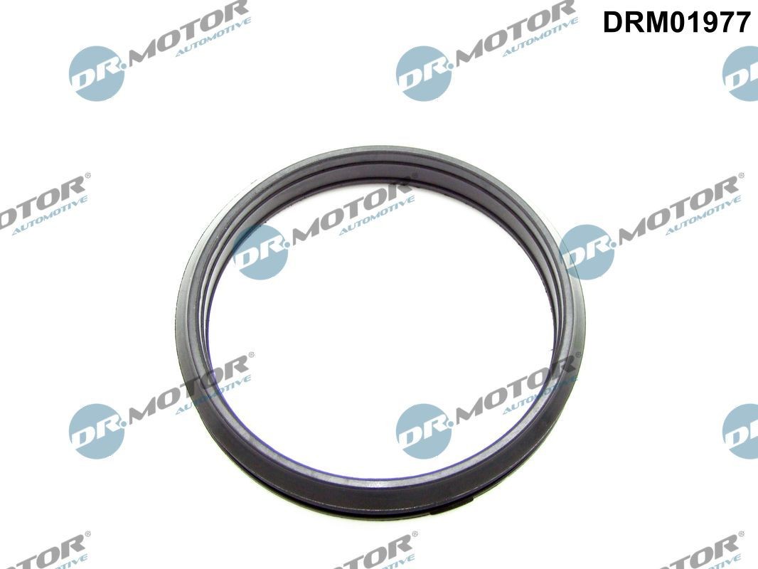 DR.MOTOR AUTOMOTIVE Dichtring, laadluchtslang DRM01977 DRM01977 Dichtring, laadluchtslang CITROËN JUMPER DR.MOTOR AUTOMOTIVE