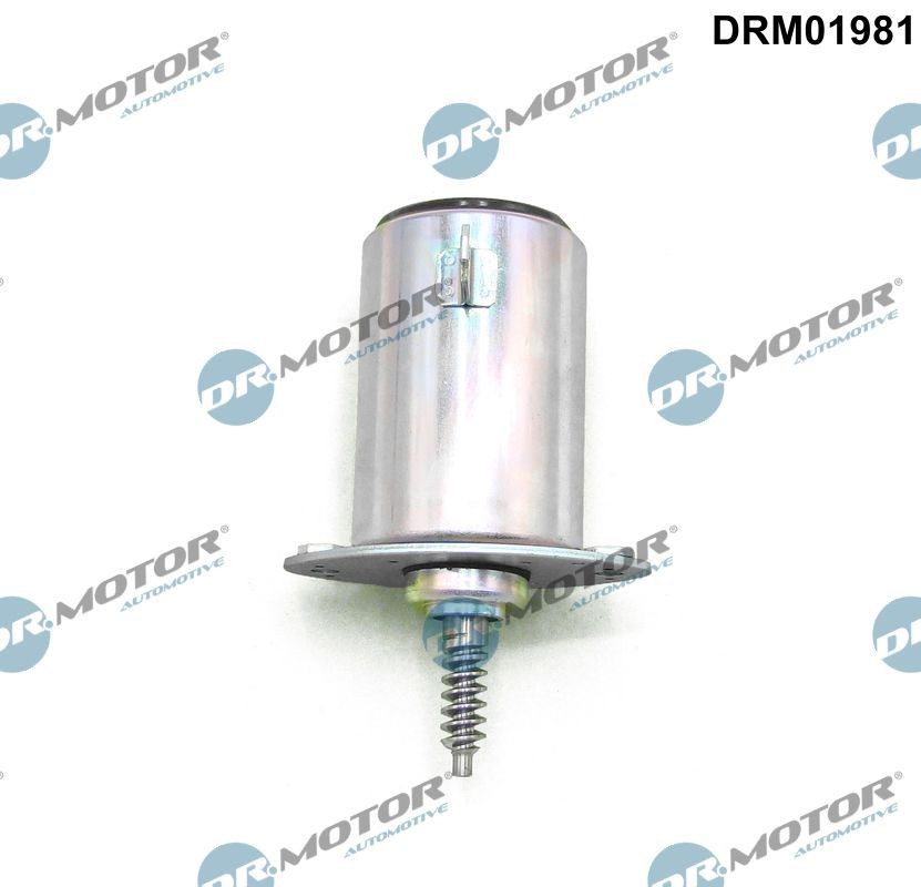 DR.MOTOR AUTOMOTIVE Juhtklapp, nukkvõlli asend DRM01981 Juhtklapp, nukkvõlli asend DR.MOTOR AUTOMOTIVE MINI DRM01981