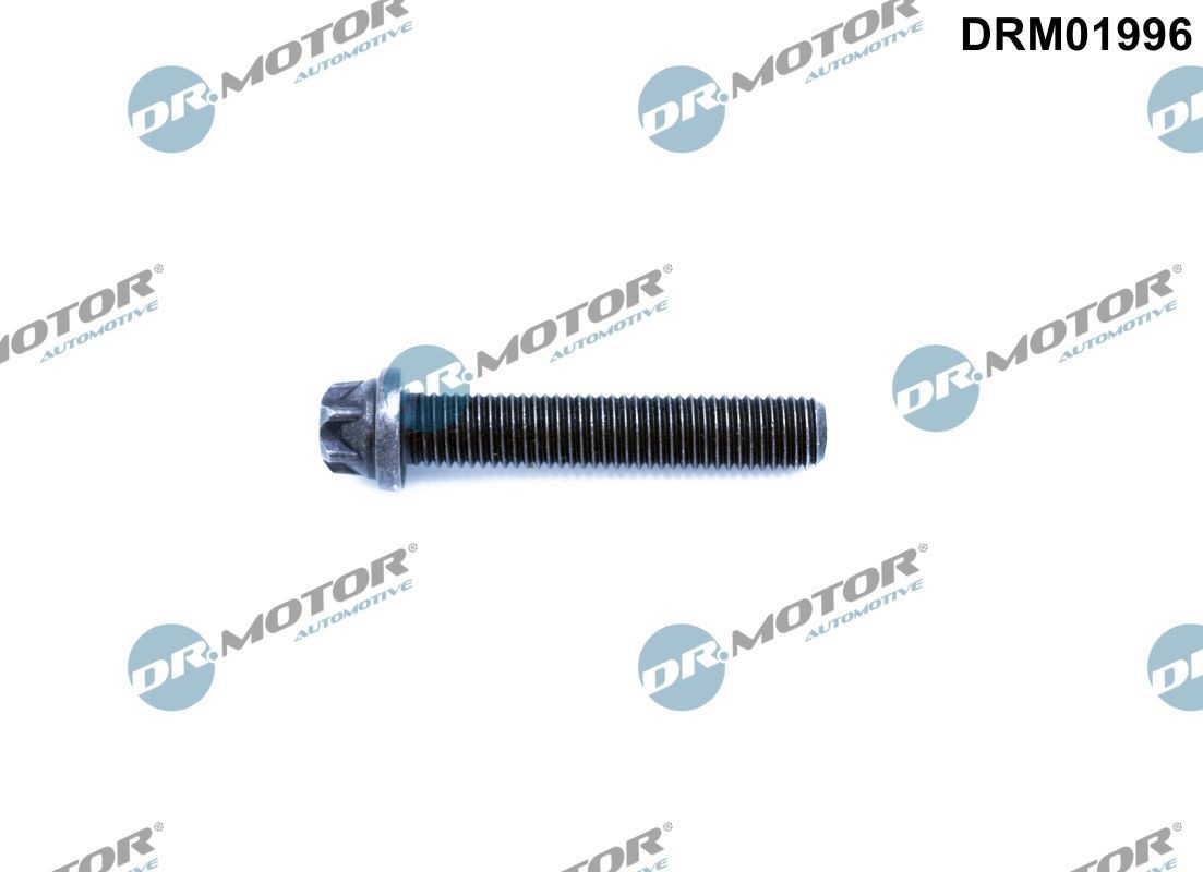 DR.MOTOR AUTOMOTIVE Kepsukruvi DRM01996 DR.MOTOR AUTOMOTIVE DRM01996 Kepsukruvi / -mutter Renault Trafic 3 Van hind