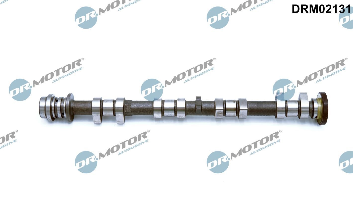 DR.MOTOR AUTOMOTIVE Nockenwelle DRM02131 DR.MOTOR AUTOMOTIVE DRM02131 FORD Galaxy Mk3 (CK) MPV Motorenteile