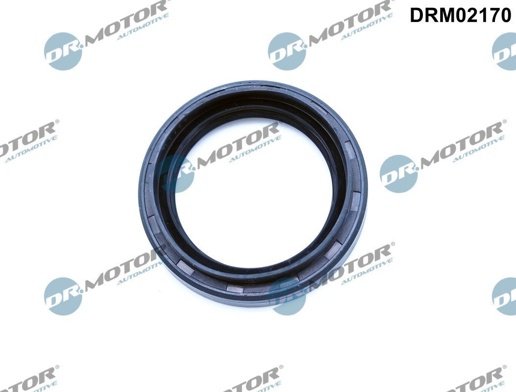 DR.MOTOR AUTOMOTIVE Anello tenuta, Differenziale DRM02170 DR.MOTOR AUTOMOTIVE DRM02170 Anello tenuta, differenziale Prairie Pro (M11) prezzo