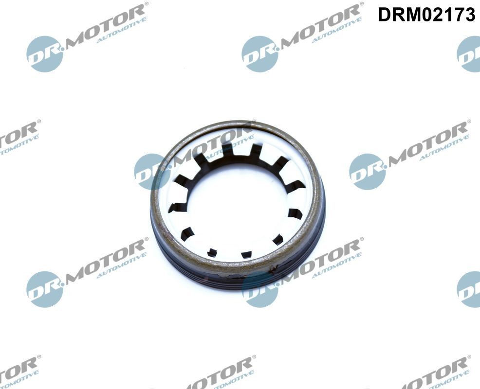 DR.MOTOR AUTOMOTIVE Keerring, differentieel DRM02173 DR.MOTOR AUTOMOTIVE DRM02173 originele Keerring, differentieel C25 Bus kosten
