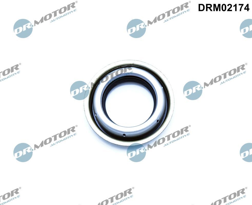 DR.MOTOR AUTOMOTIVE Vārpstas blīvgredzens, Diferenciālis DRM02174 Vārpstas blīvgredzens, diferenciālis DR.MOTOR AUTOMOTIVE OPEL DRM02174