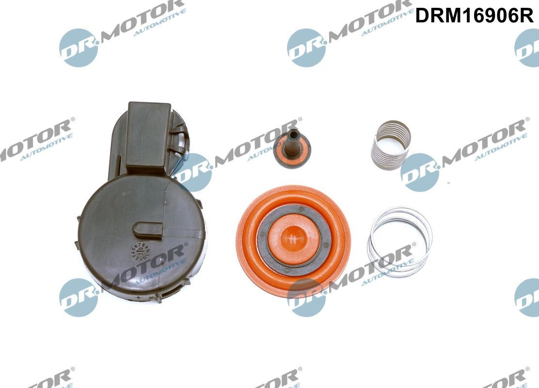 Membraan, ontluchtingnokkenasbehuizing DR.MOTOR AUTOMOTIVE DRM16906R DR.MOTOR AUTOMOTIVE DRM16906R Carterventilatie slang CITROËN C3 2023