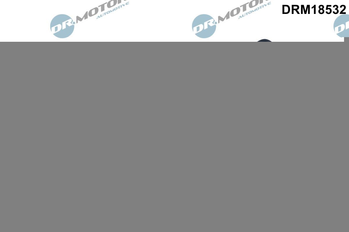 Polttoaineputki DR.MOTOR AUTOMOTIVE DRM18532 DR.MOTOR AUTOMOTIVE DRM18532 RENAULT MEGANE 2020 Polttoaineputki