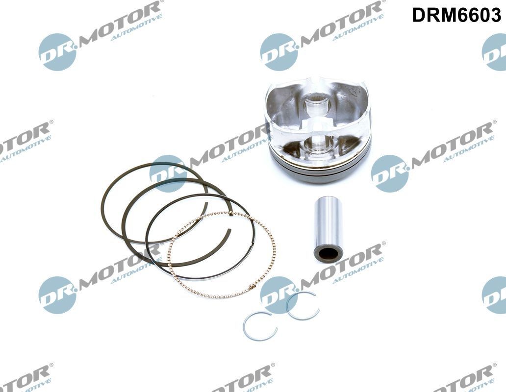DR.MOTOR AUTOMOTIVE Stempel DRM6603 DR.MOTOR AUTOMOTIVE DRM6603 originale Focus Mk3 Van / Hatchback Motor stempel hvad koster