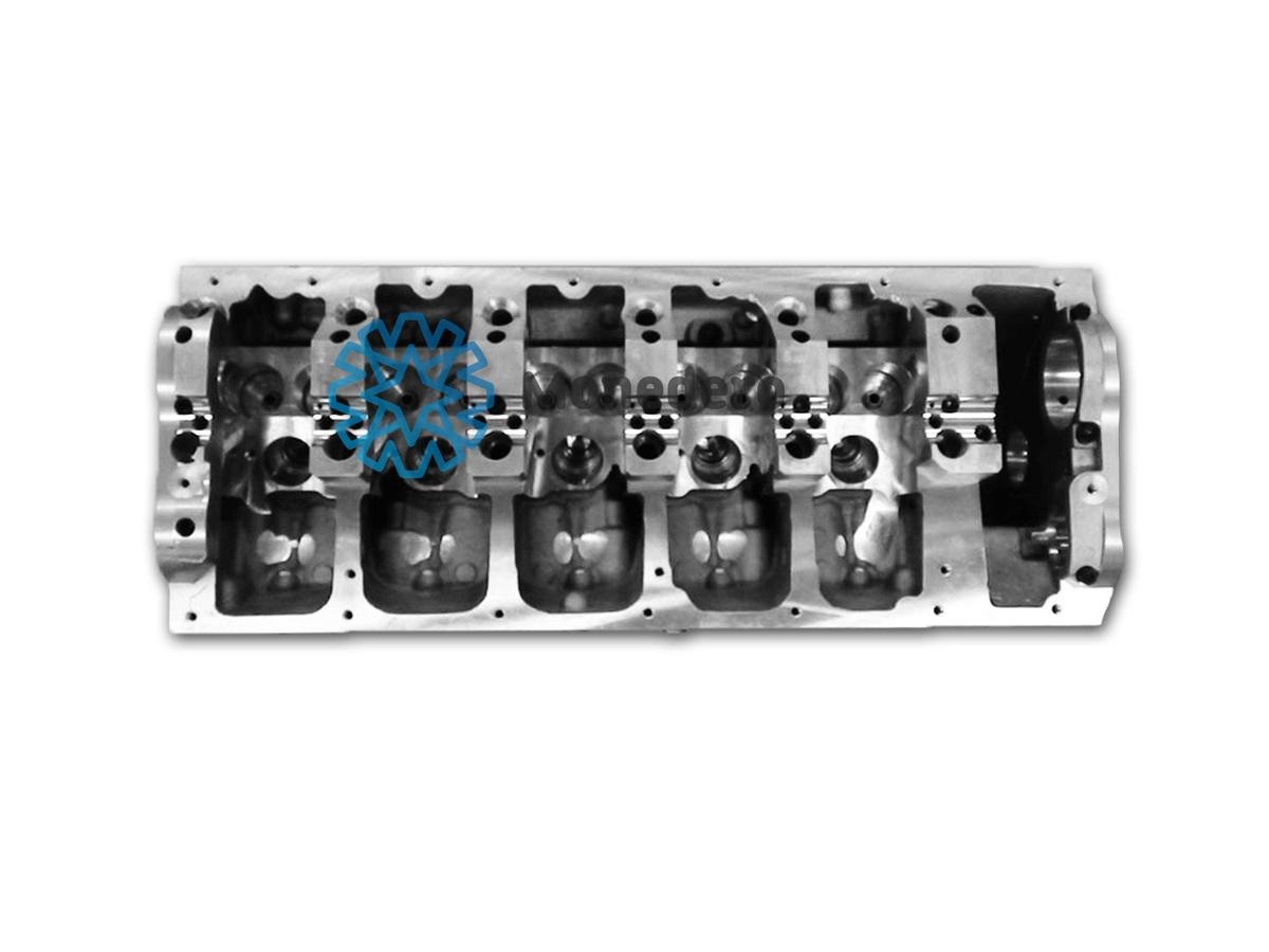 Testata motore MONEDERO 80012000048 MONEDERO 80012000048 Testata motore Volkswagen TOUAREG 2009