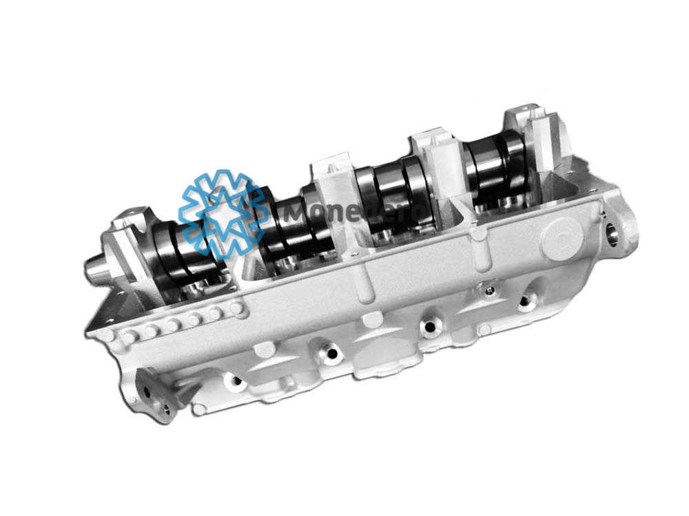 MONEDERO Hlava valcov motora 80012600001 MONEDERO 80012600001 Hlava valcov VW Polo 9A4 cena